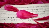 Image by Frauke Riether from Pixabay