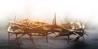 Dornenkranz, AdobeStock @ isara