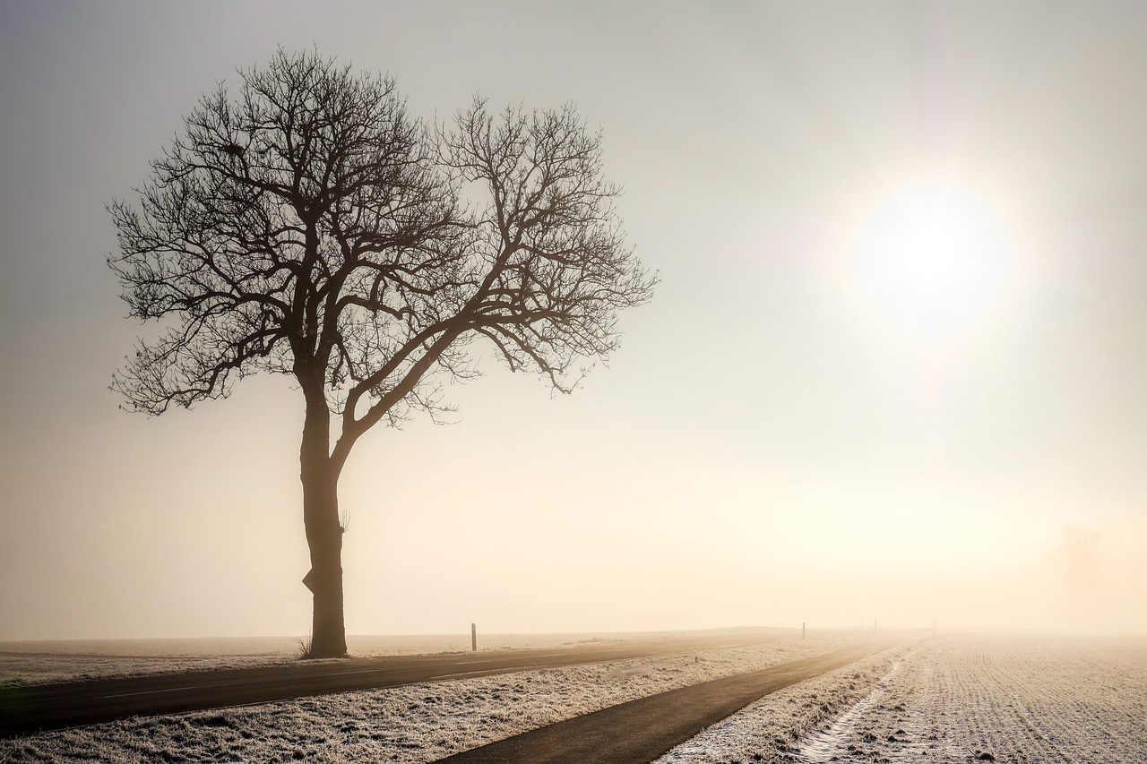 Road, Bild von Albrecht Fietz auf Pixabay