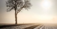 Road, Bild von Albrecht Fietz auf Pixabay