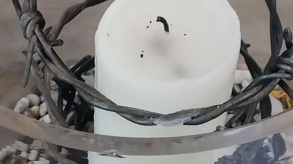 Stacheldrahtkerze Sliderbild, Foto: kubey