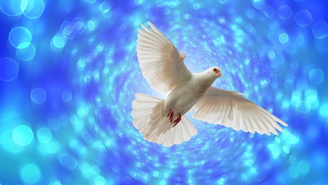dove-Bild von Gerd Altmann auf Pixabay.jpg
