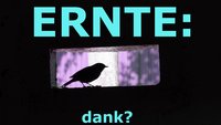 Titelbild "ERNTE: DANK?" zum Gemeindebrief 10/2019, Eifler