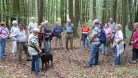 Senioren "Interessiert" im Wald, Foto Eifler