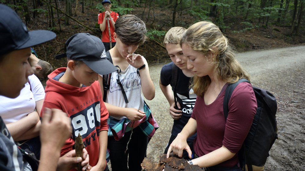 Jugendliche betrachten käferbefallene Baumrinde, Foto L. Kaiser