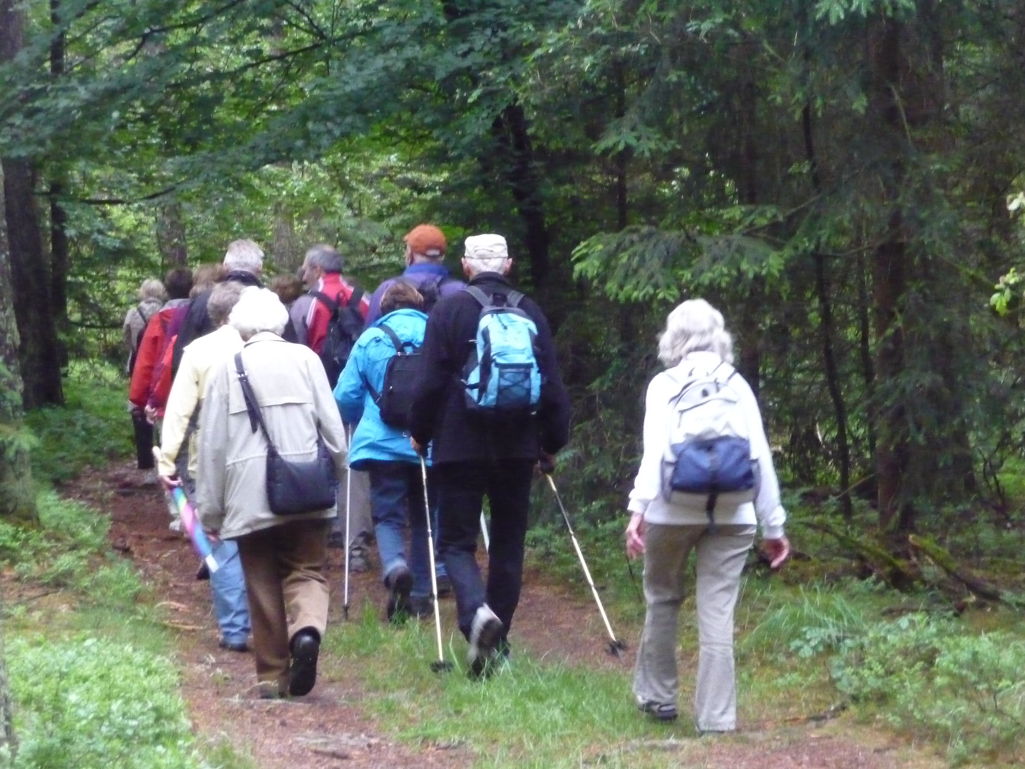 Neumarkter wandern zum Gottesdienst nach Sulzbürg; Foto: bey