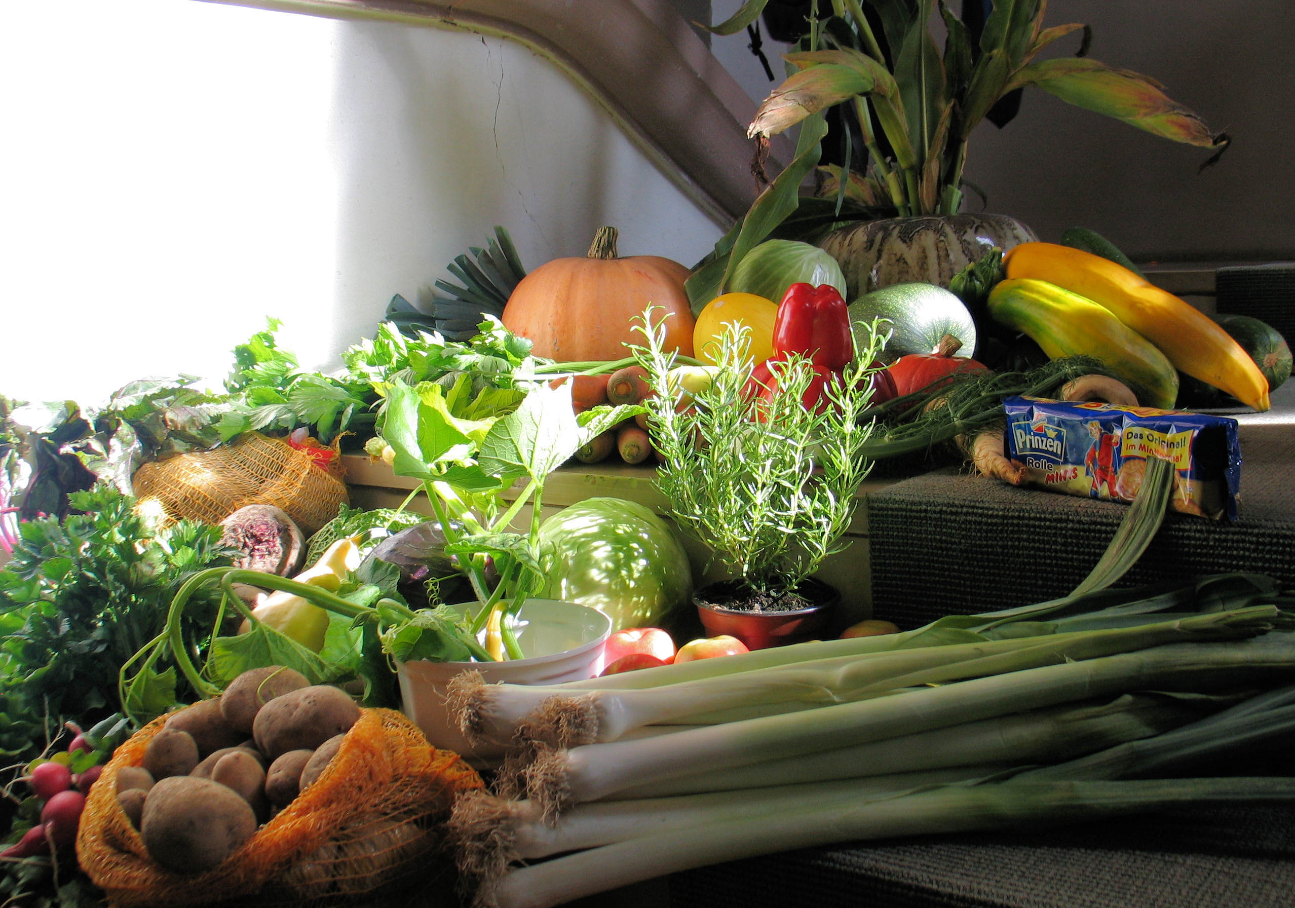 Erntedank 2010, Foto Eifler