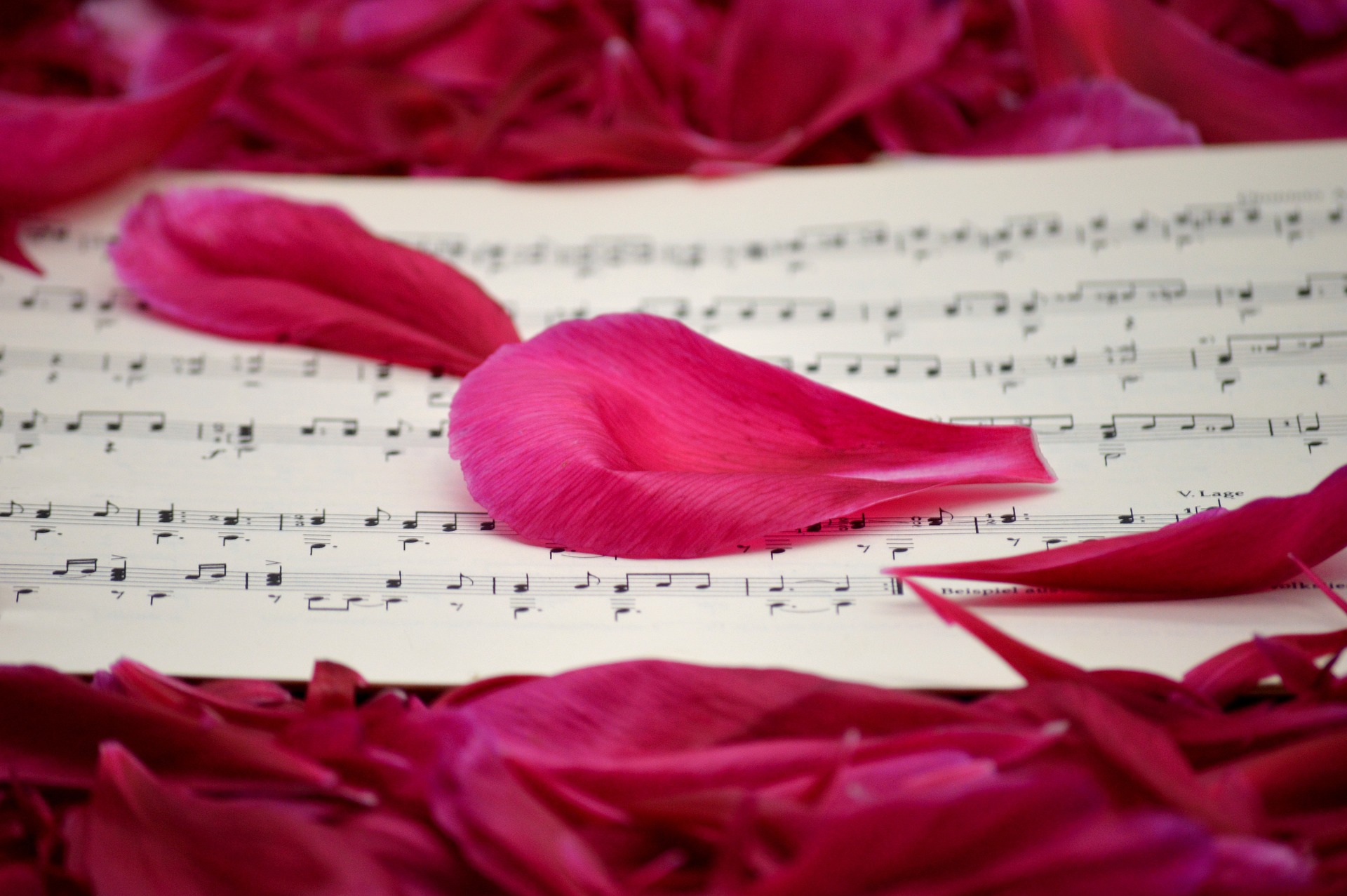 Image by Frauke Riether from Pixabay