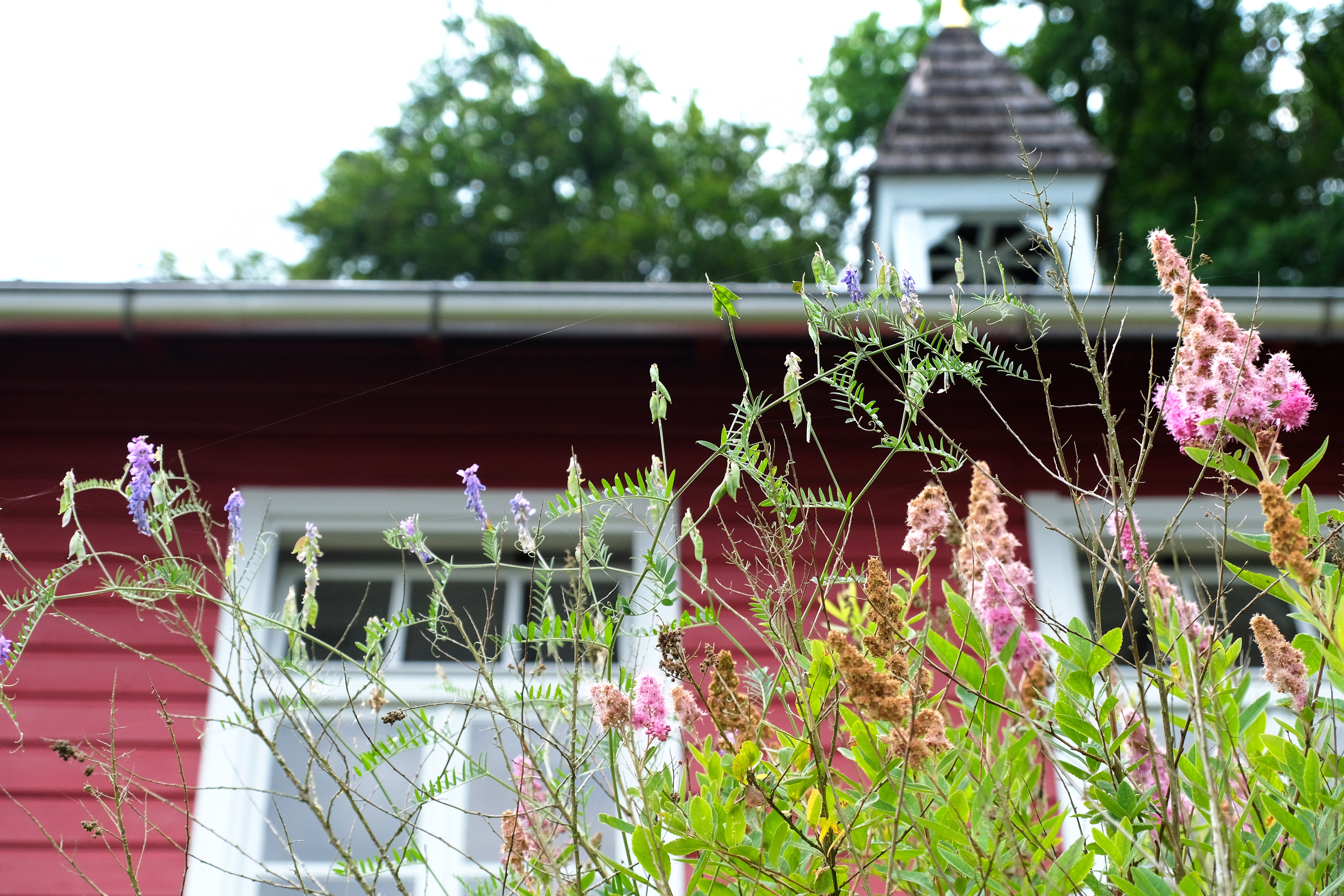 Kirche Deining, Foto Eifler, K.