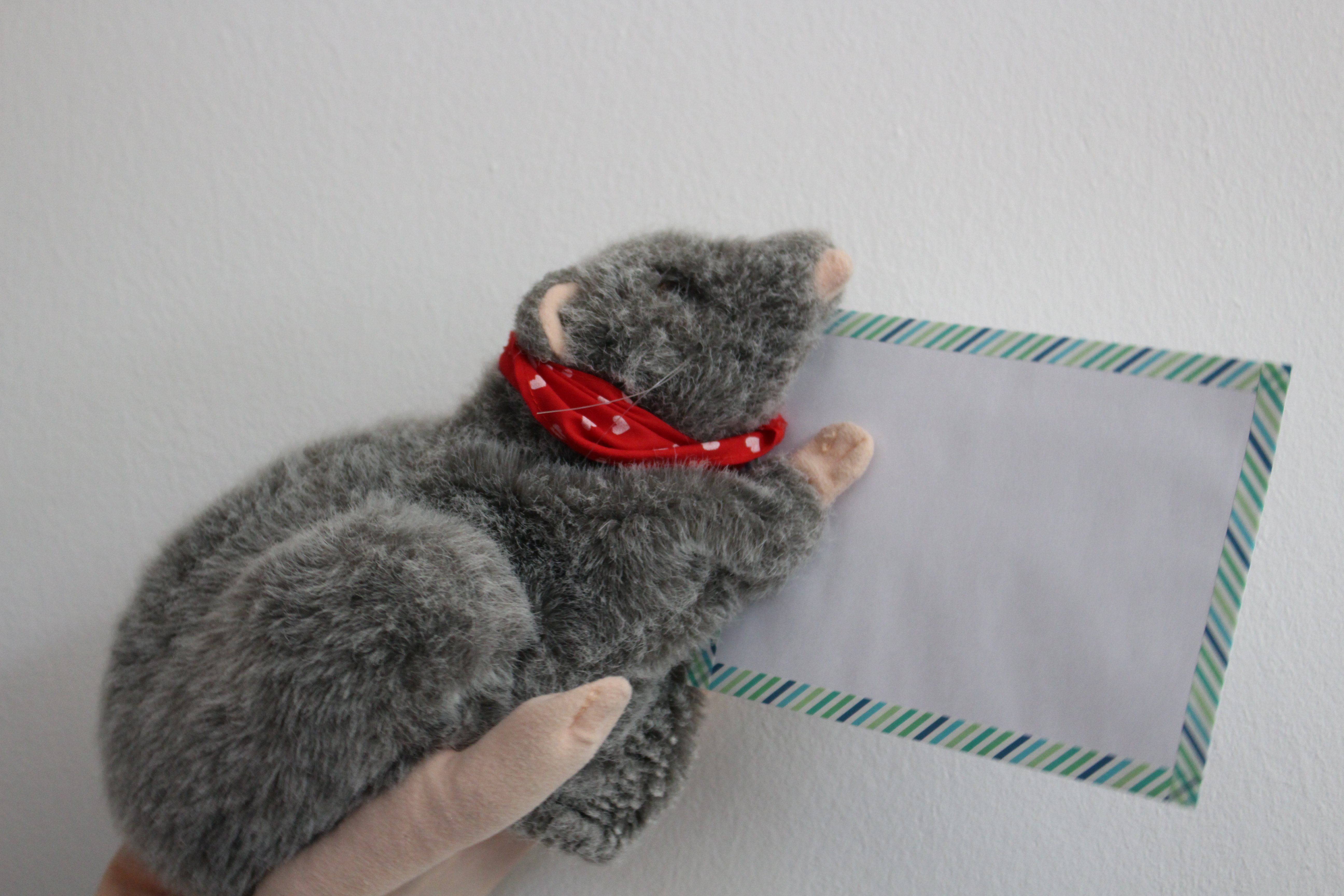 Paulines Kirchenpost, Foto E. Distler