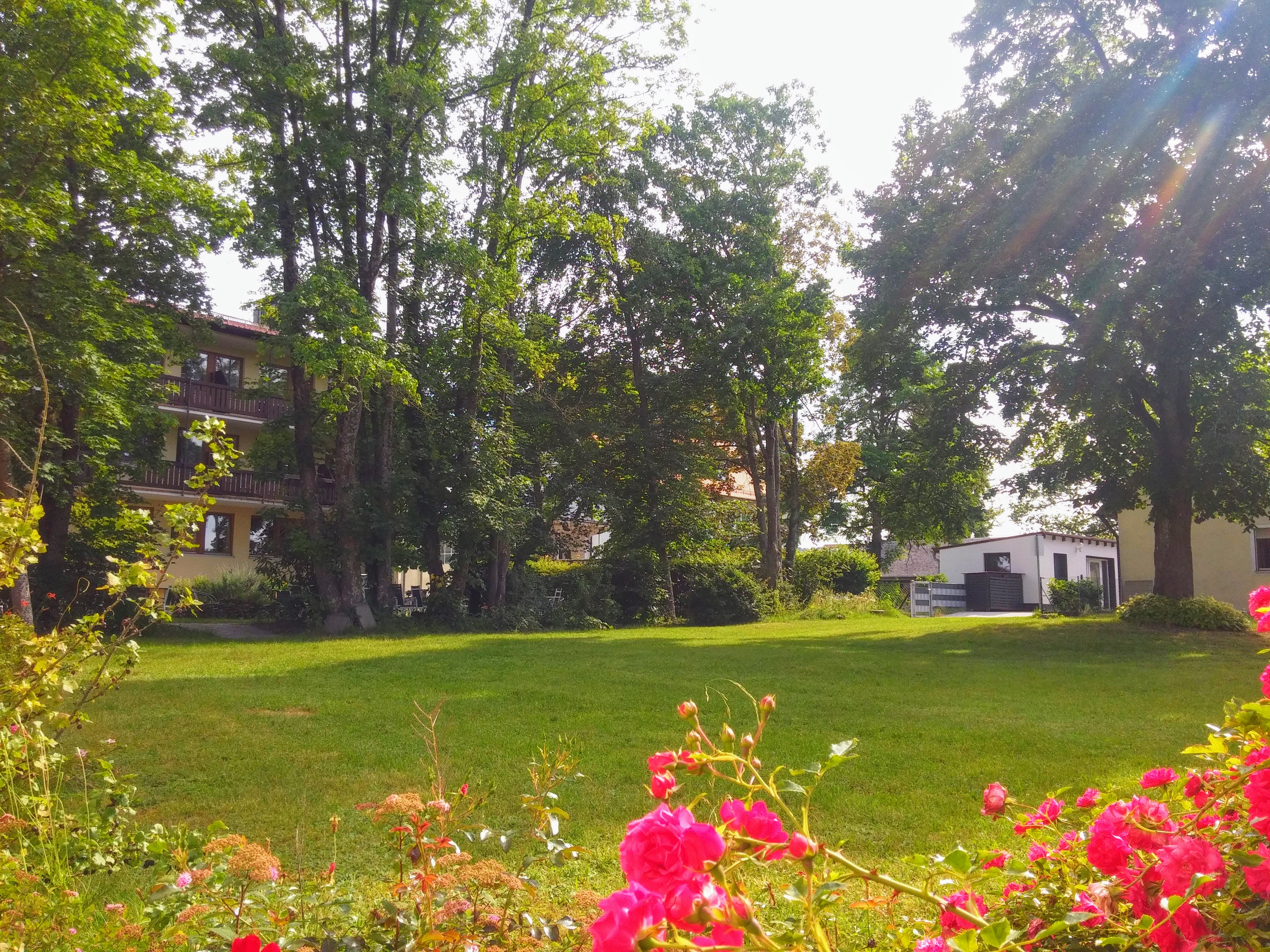 Gemeindewiese Sandstraße, Foto kb