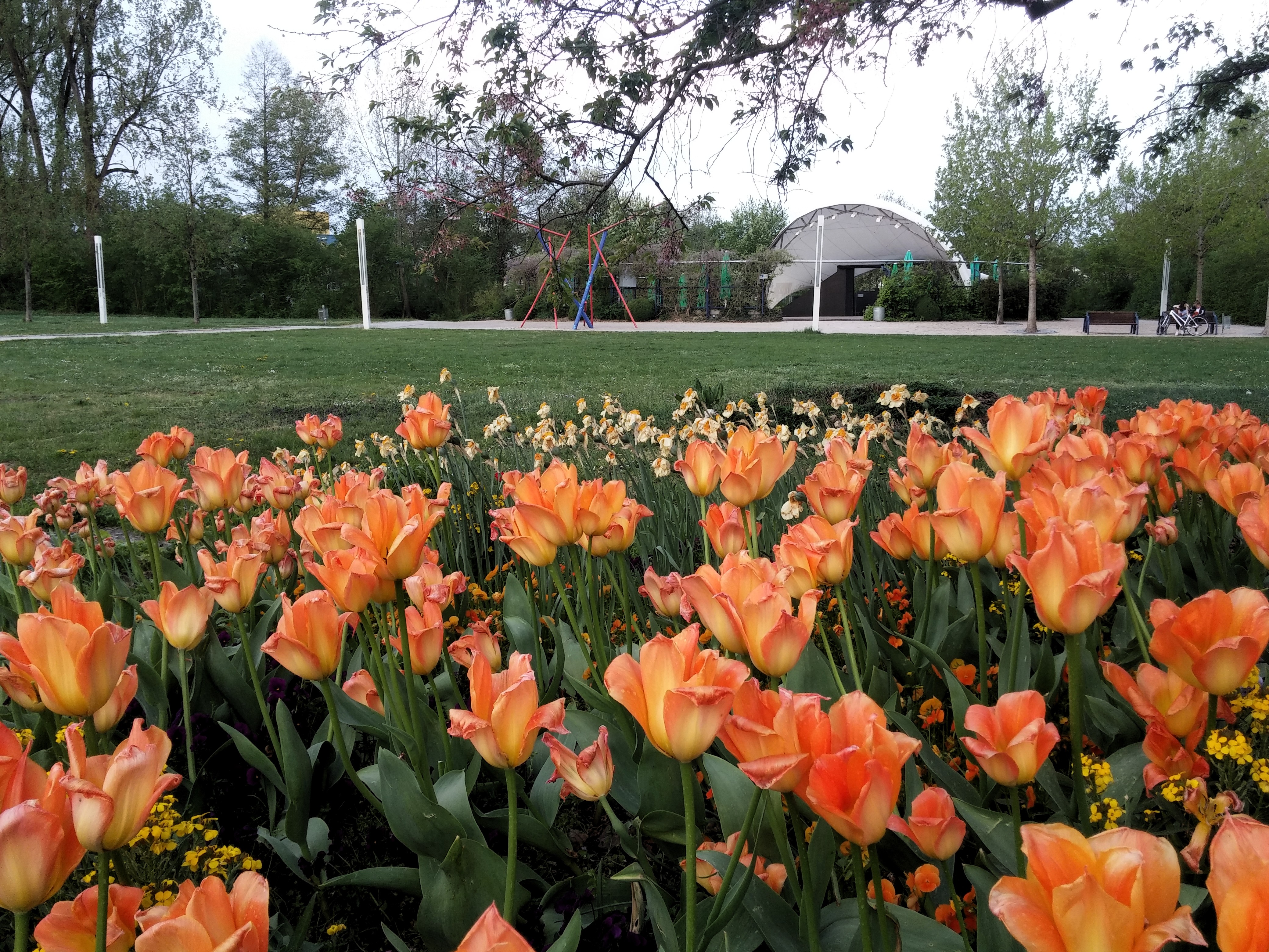 Arena im LGS-Park; Foto: bey