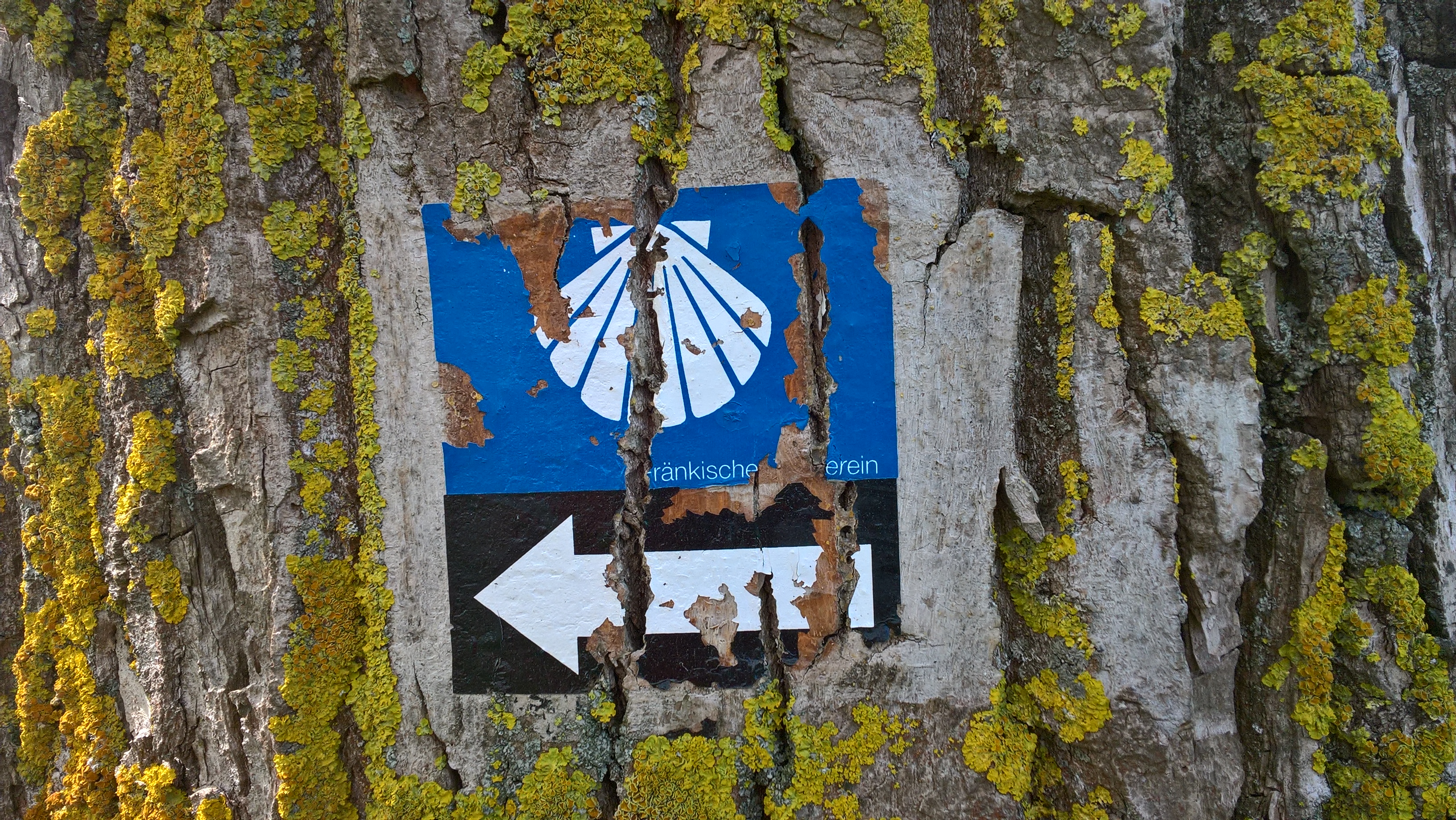 Jakobsweg Heilsbronn - Rothenburg; Foto: Böttcher