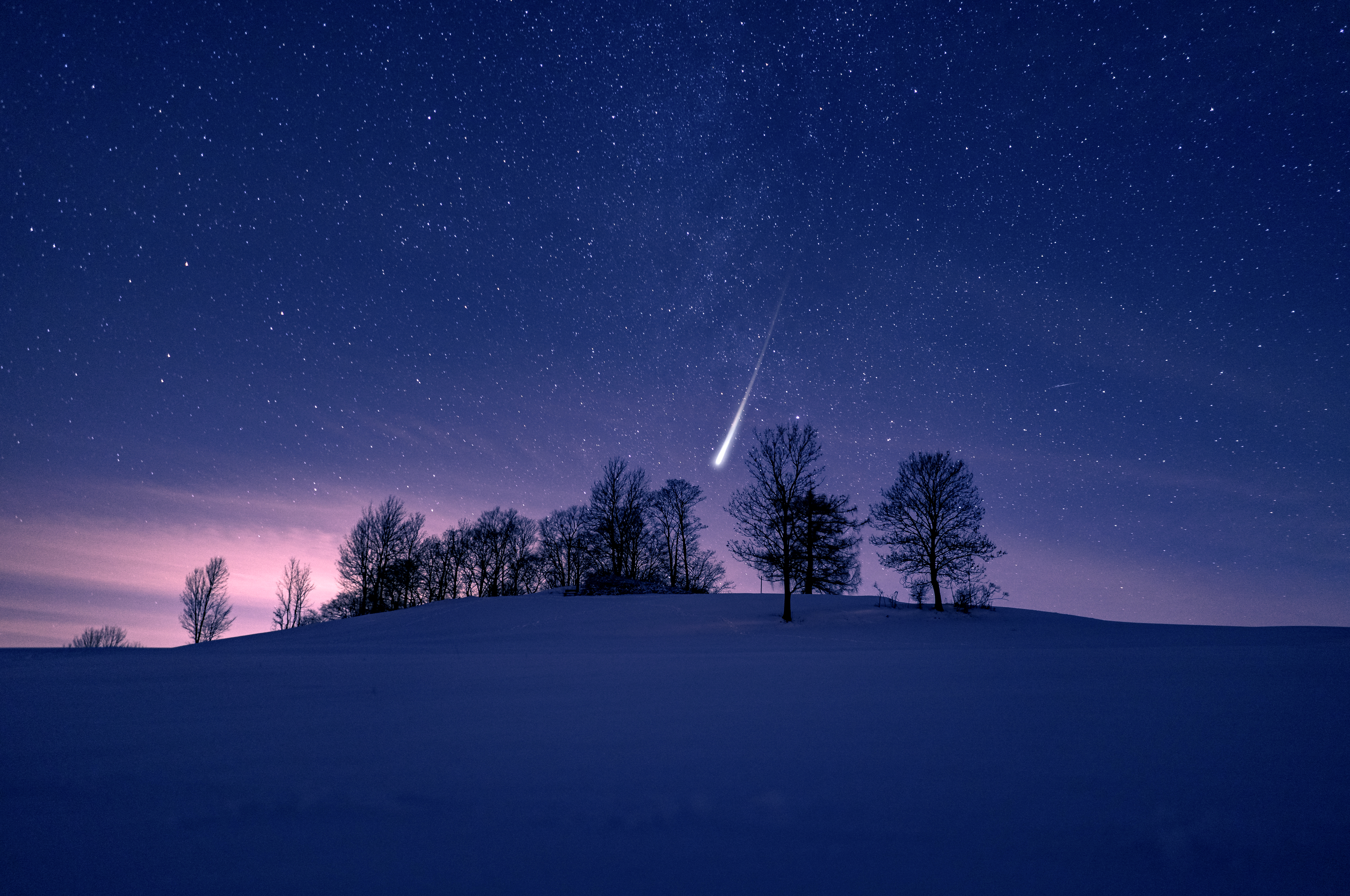 Foto: AdobeStock 274477596