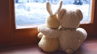 Foto AdobeStock, editiert