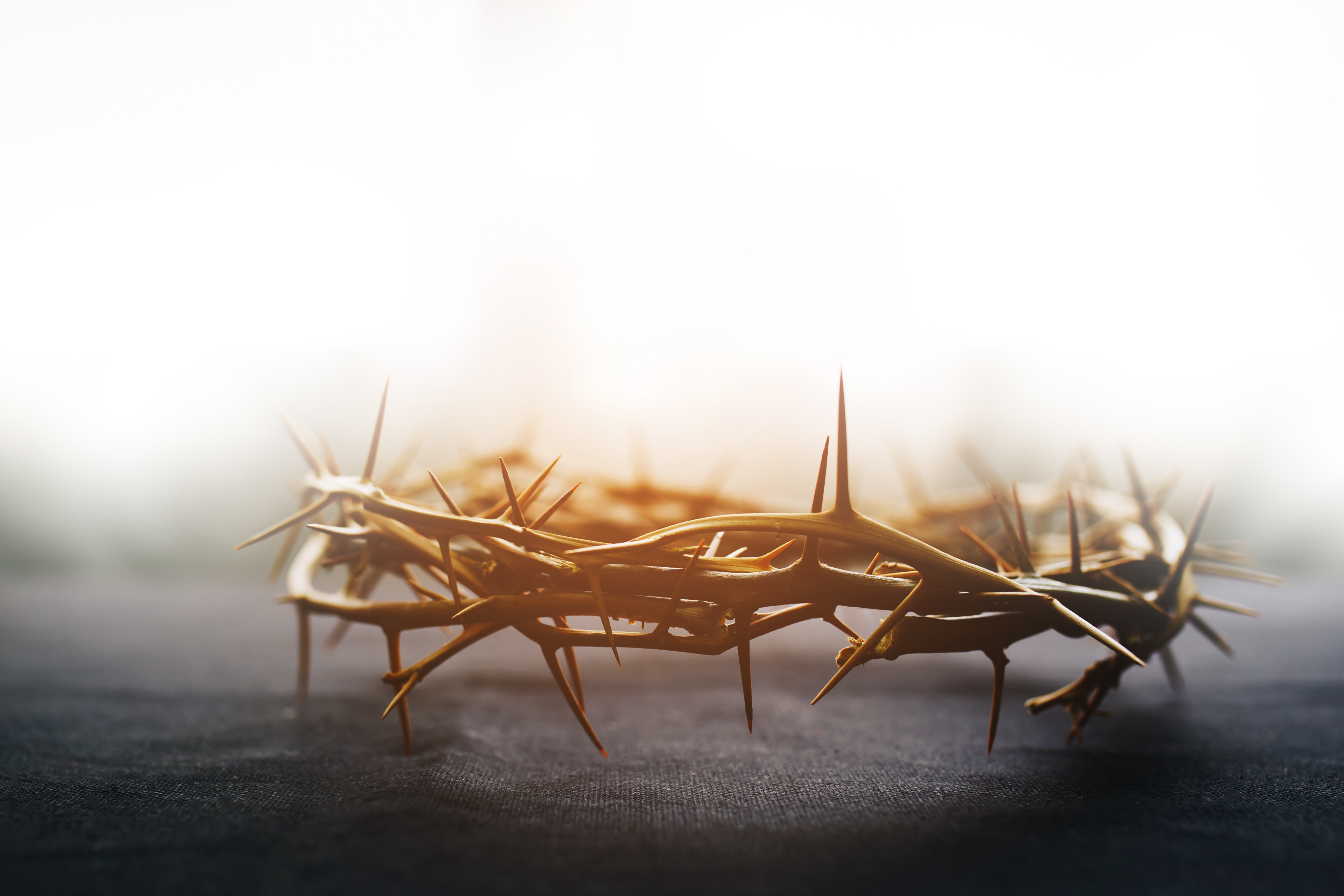 Dornenkranz, AdobeStock @ isara
