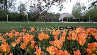 Arena im LGS-Park; Foto: bey