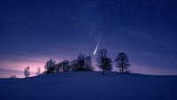 Foto: AdobeStock 274477596