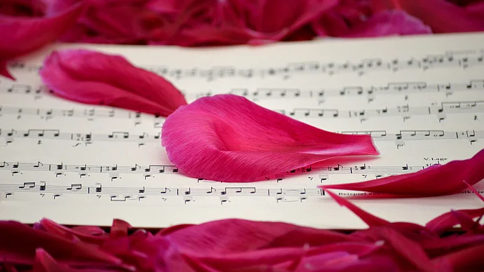 Image by Frauke Riether from Pixabay