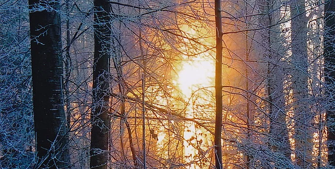 Winterwald mit Sonne, Foto: K. Eifler