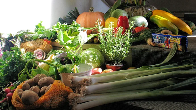 Erntedank 2010, Foto Eifler