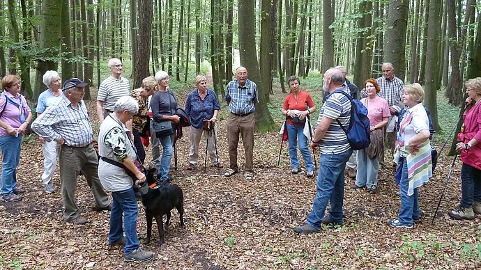 Senioren "Interessiert" im Wald, Foto Eifler