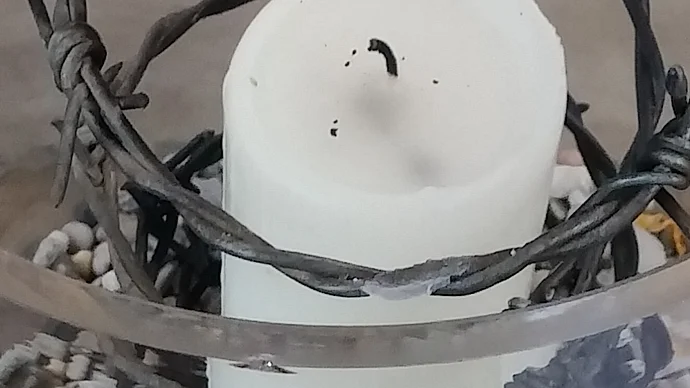 Stacheldrahtkerze Sliderbild, Foto: kubey