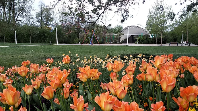 Arena im LGS-Park; Foto: bey