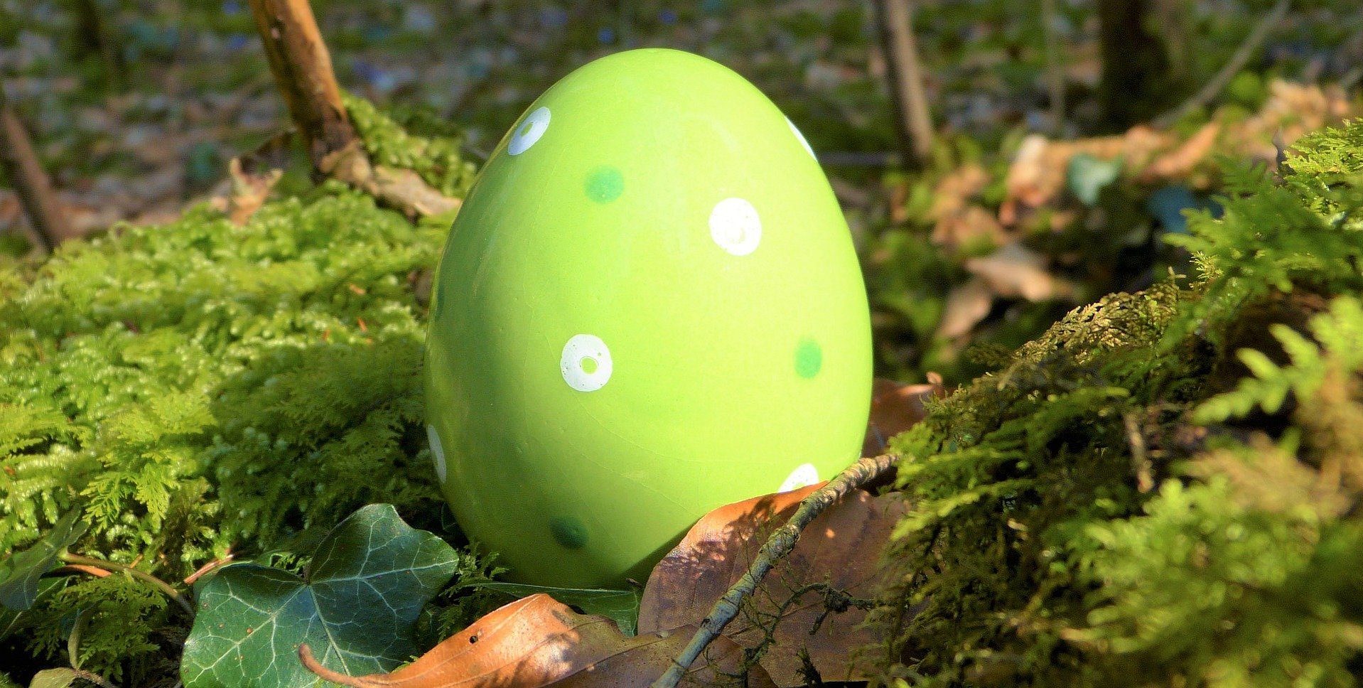 Osterei, Bild von silviarita auf Pixabay