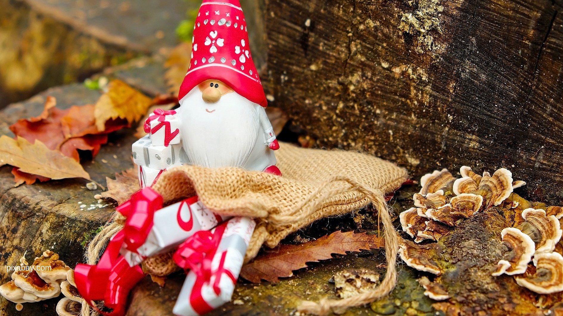 Quelle: https://pixabay.com