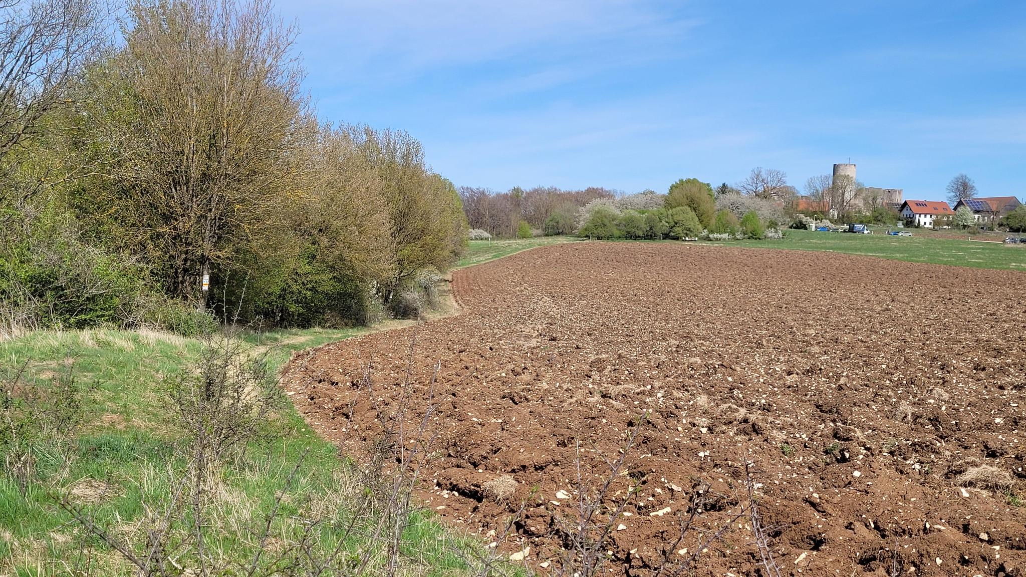Wolfstein freigeschnittener Fußweg zum Kreuz an der Hangkante.