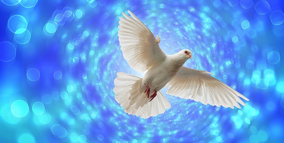 dove-Bild von Gerd Altmann auf Pixabay.jpg