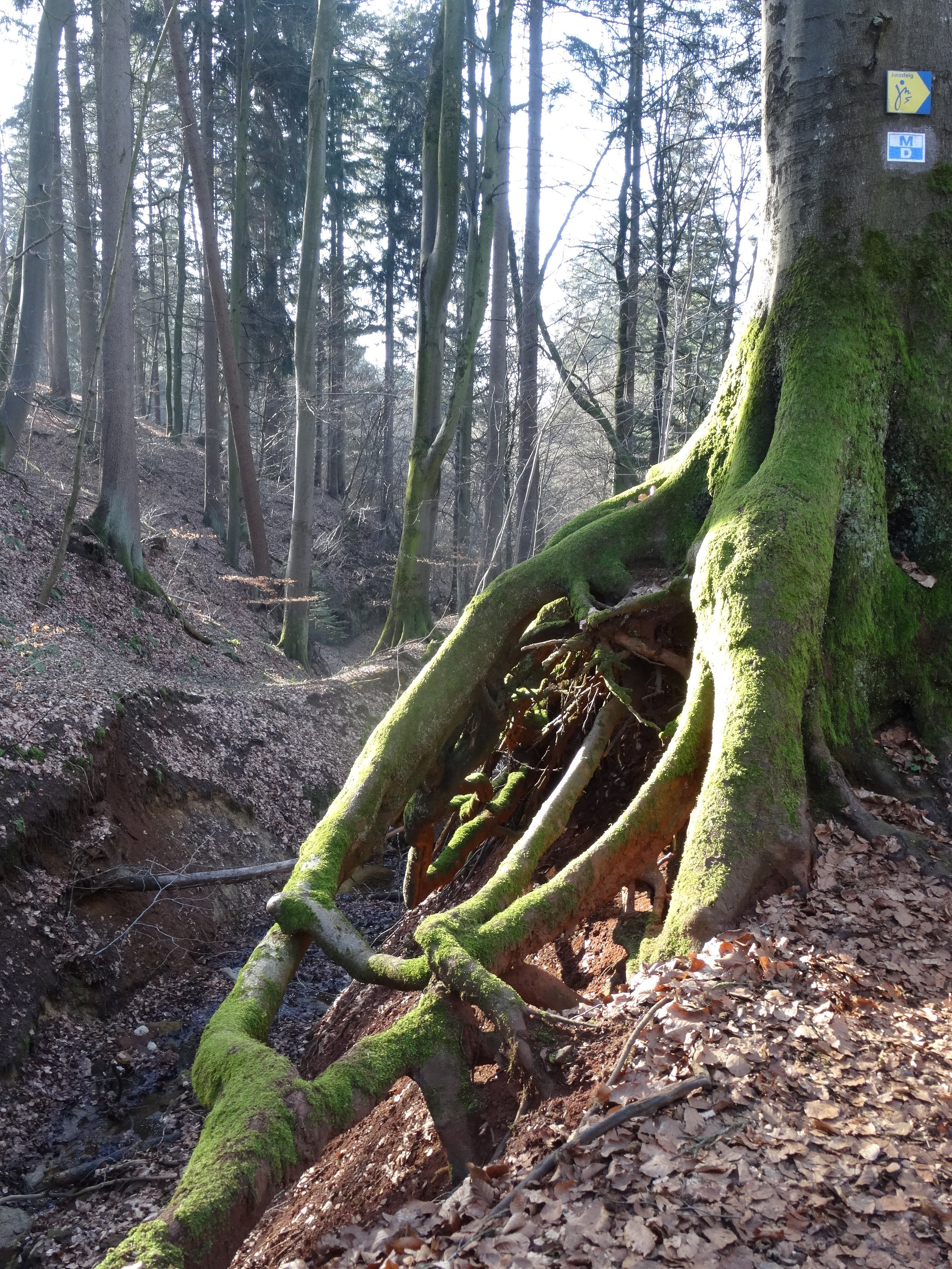 Fotosafari Hammerbacher