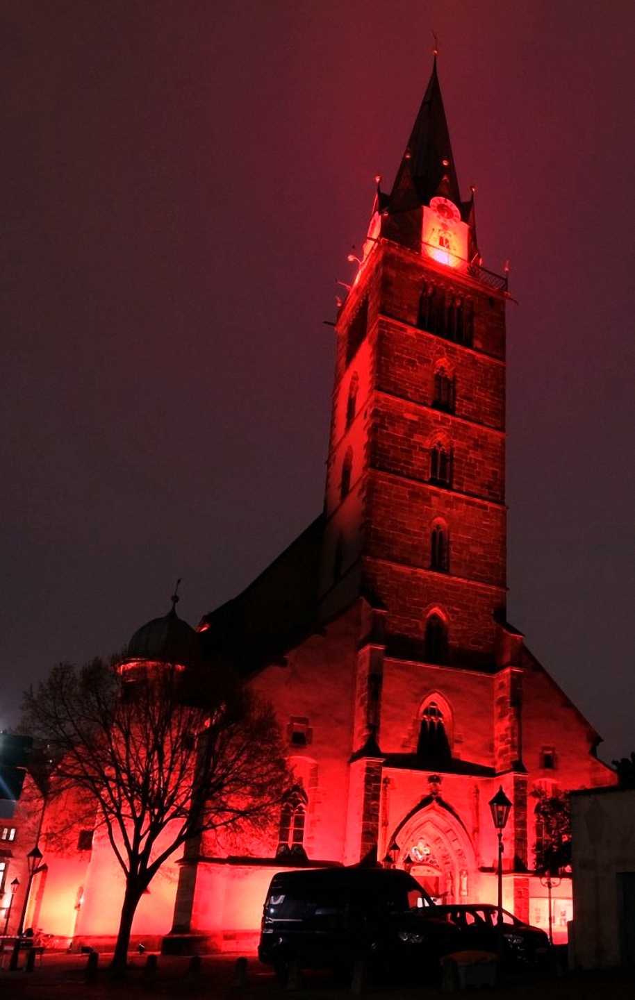 Red Wednesday Neumarkt 25.11.2020, Foto Eifler