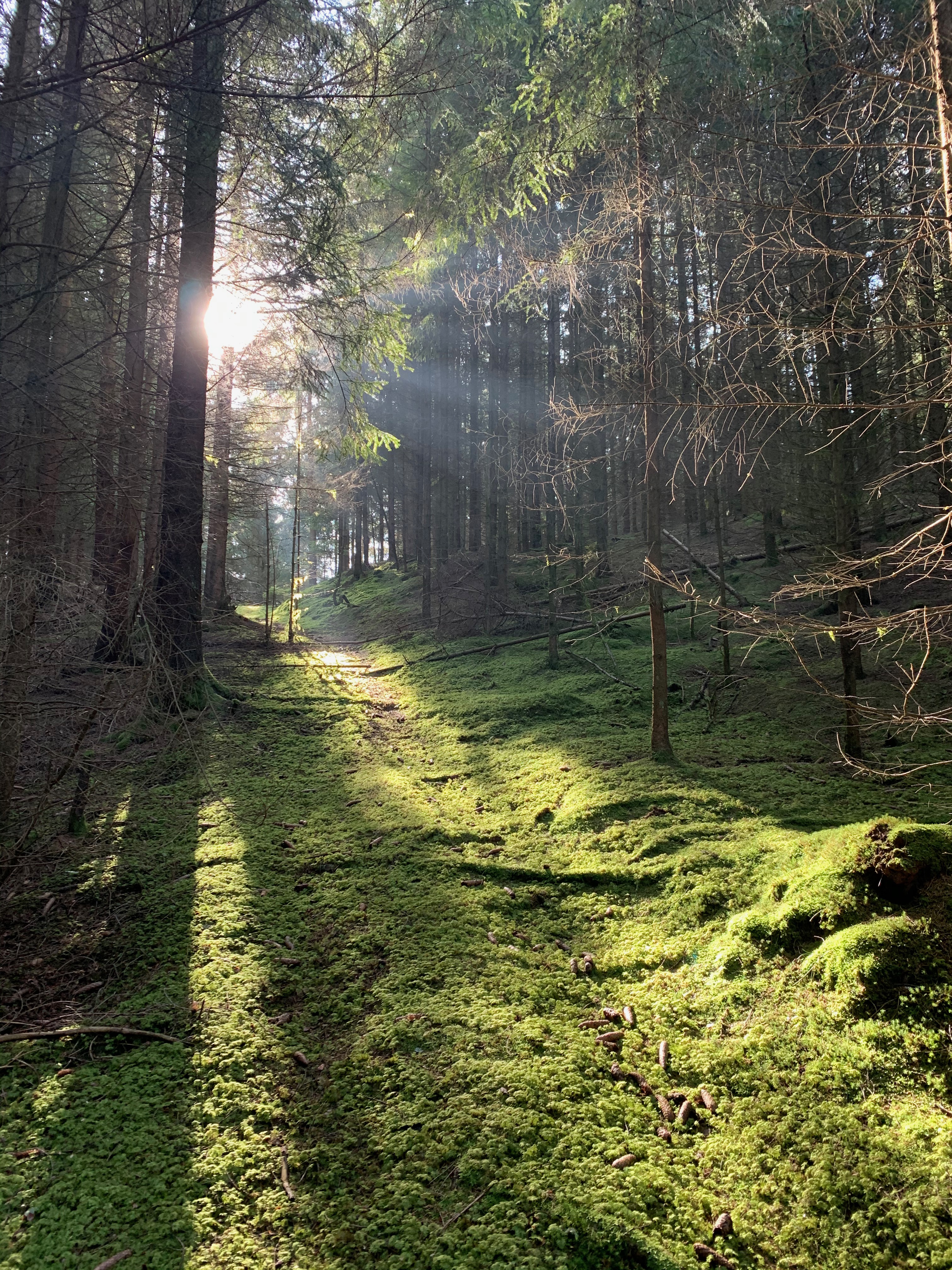 Fotosafari Bayerl