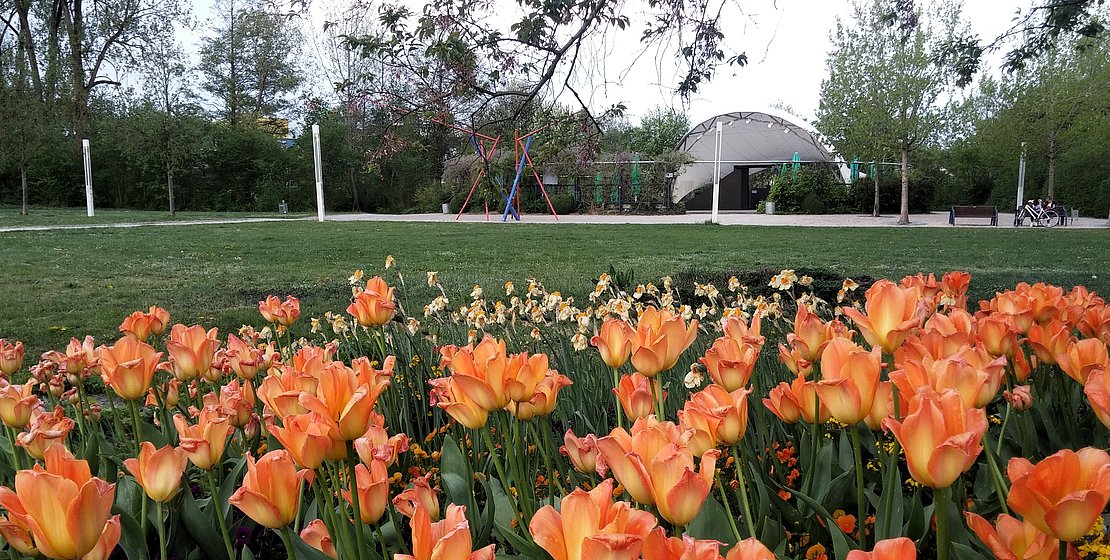 Arena im LGS-Park; Foto: bey