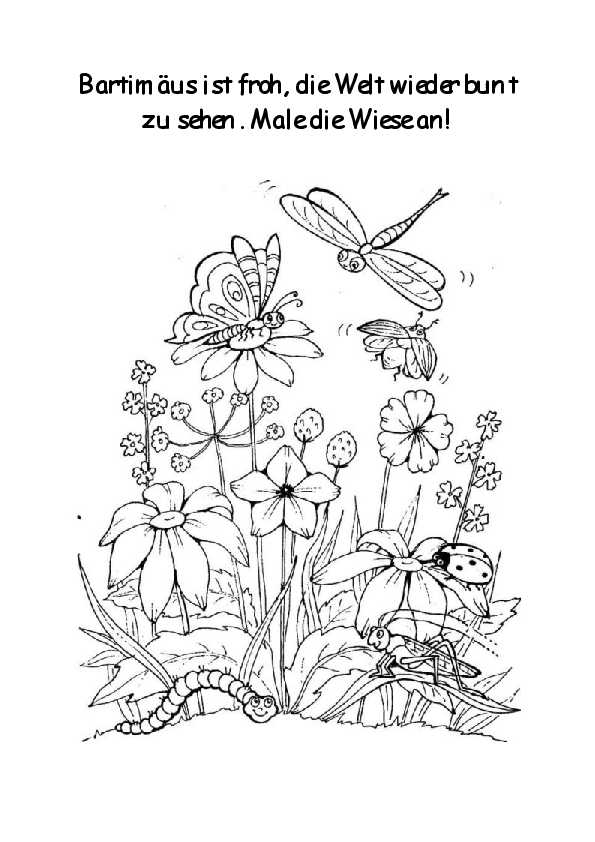 Bildvorlage zum Ausmalen