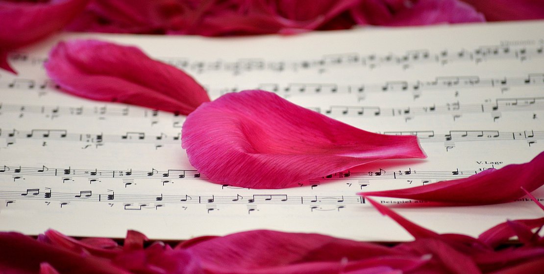 Image by Frauke Riether from Pixabay