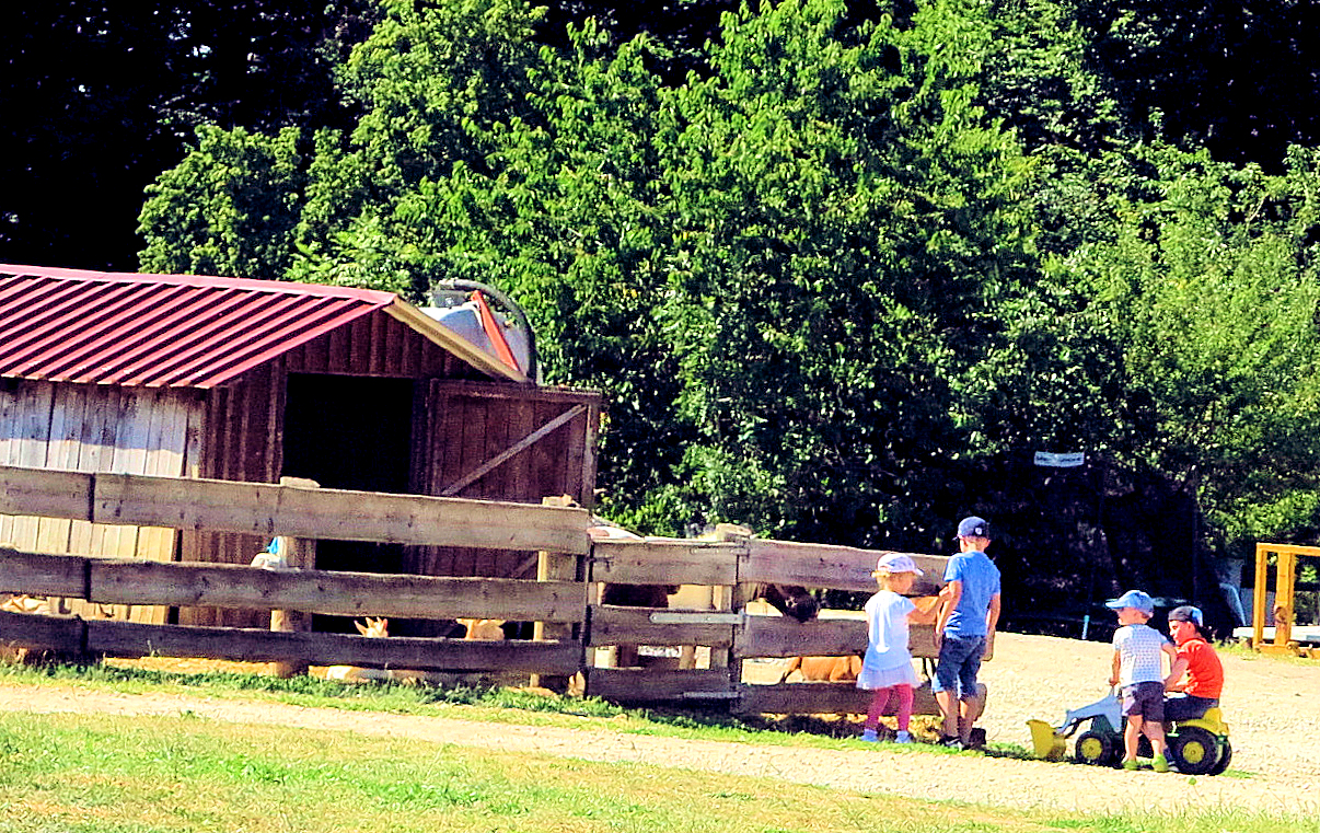 Gemeindeausflug 2019, Kinder bei der Koppel, Foto MH